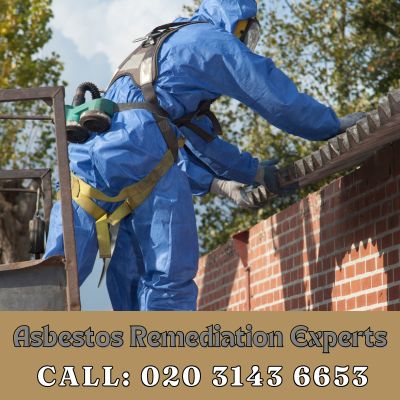 Asbestos Remediation Experts Plumstead