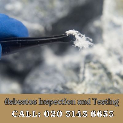 Comprehensive Asbestos Inspection and Testing Services in Plumstead